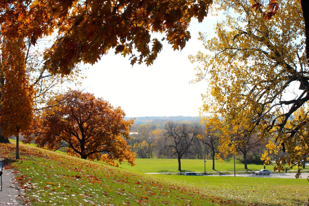 Turns out  I love Des Moines, in fall (not winter).
