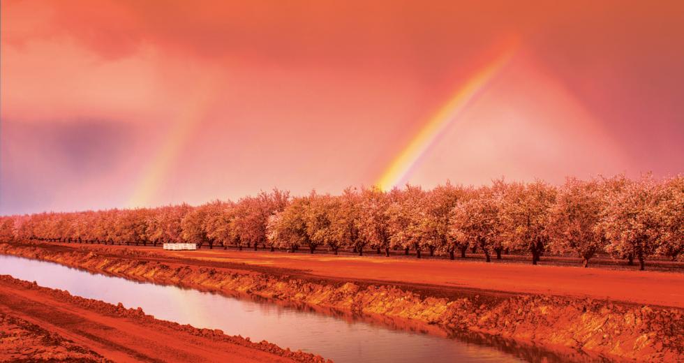 1116_feat_water_lead_sonyadoctorian